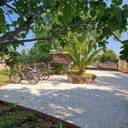 House Maslina Сasa de vacaciones Rovinj